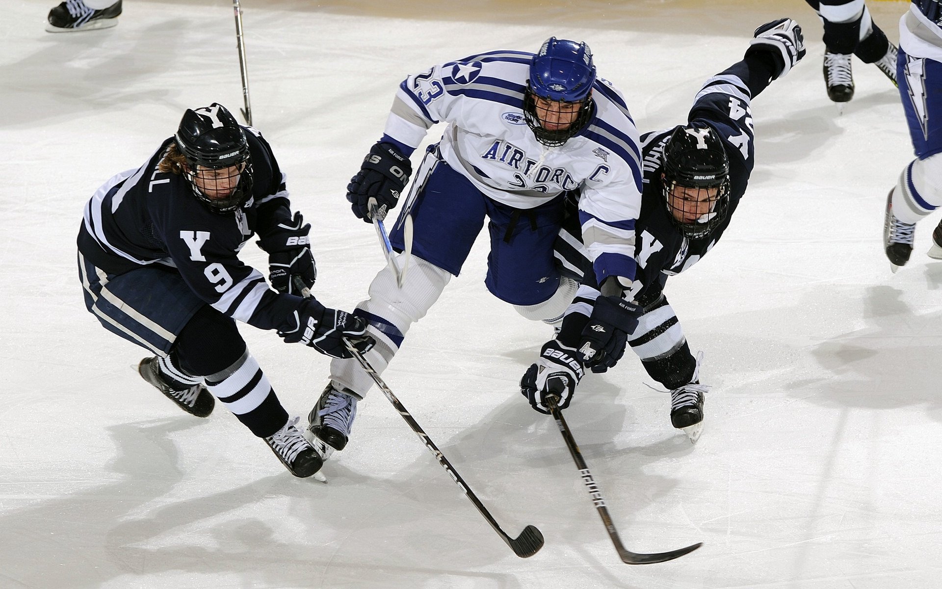 “历史辉煌：那些永载史册的多场伟大战役”，那些伟大战争的成果
